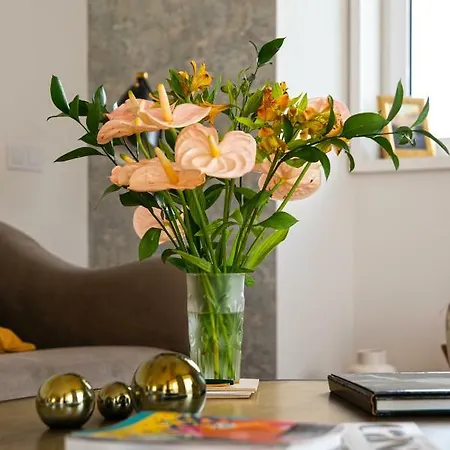 Apartment Premium Pearl